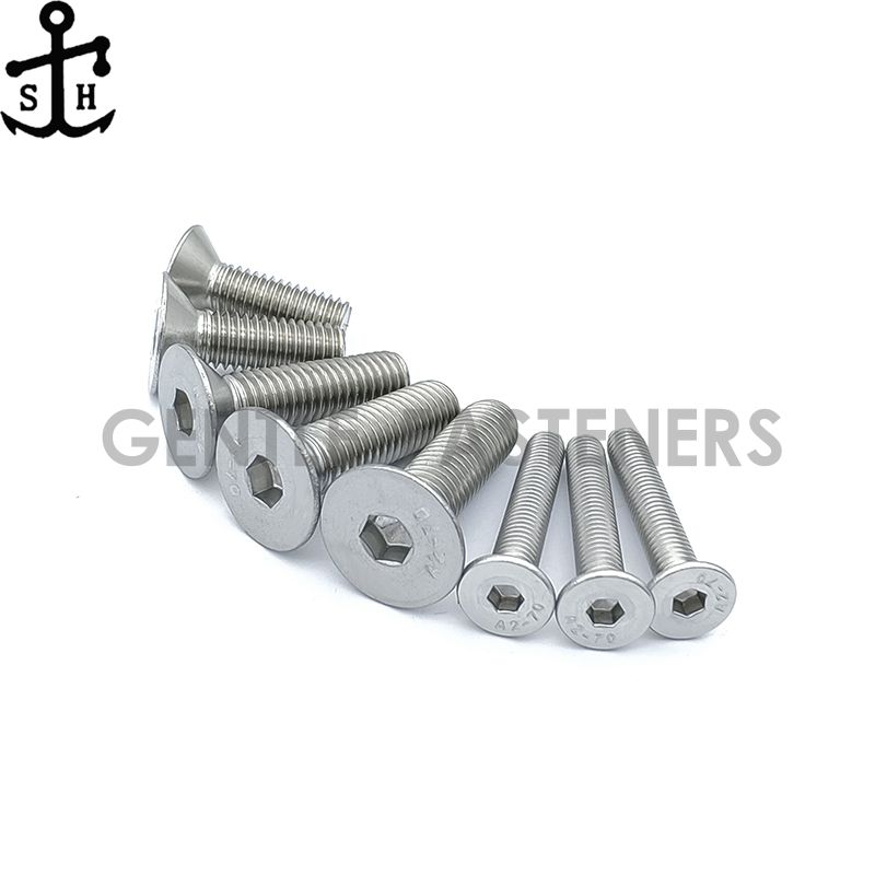 DIN7991 SS304